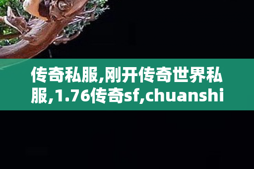传奇私服,刚开传奇世界私服,1.76传奇sf,chuanshisifu,1.76传奇sf