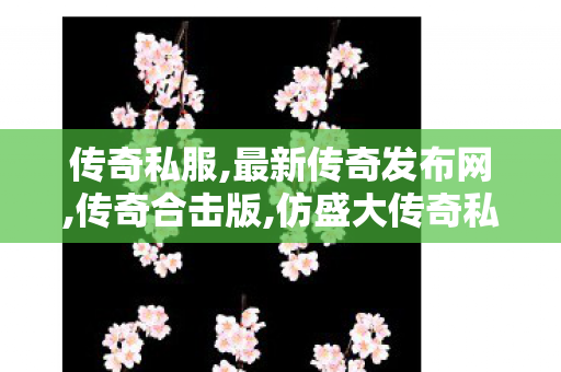 传奇私服,最新传奇发布网,传奇合击版,仿盛大传奇私服1.95,传奇合击版