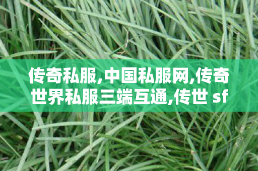 传奇私服,中国私服网,传奇世界私服三端互通,传世 sf,传奇世界私服三端互通