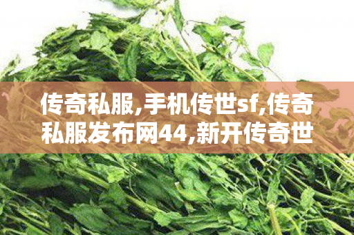 传奇私服,手机传世sf,传奇私服发布网44,新开传奇世界网站,传奇私服发布网44