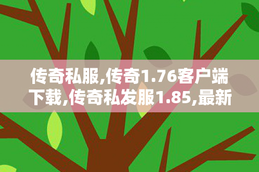 传奇私服,传奇1.76客户端下载,传奇私发服1.85,最新1.76复古传奇,传奇私发服1.85