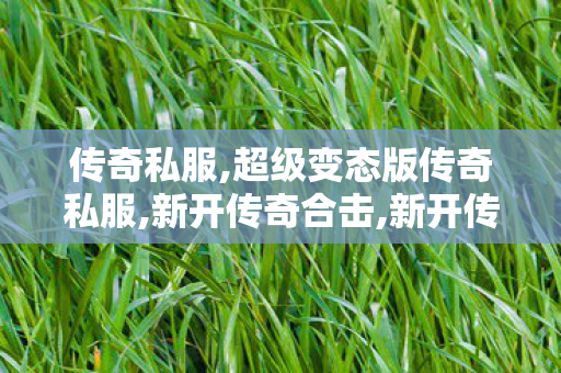 传奇私服,超级变态版传奇私服,新开传奇合击,新开传奇世界发布网,新开传奇合击