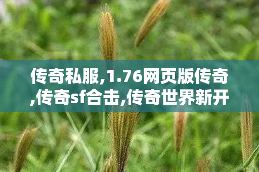 传奇私服,1.76网页版传奇,传奇sf合击,传奇世界新开网站服,传奇sf合击