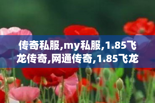 传奇私服,my私服,1.85飞龙传奇,网通传奇,1.85飞龙传奇
