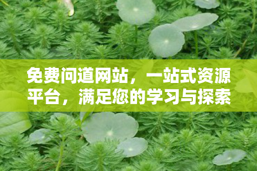 免费问道网站，一站式资源平台，满足您的学习与探索需求