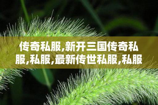 传奇私服,新开三国传奇私服,私服,最新传世私服,私服