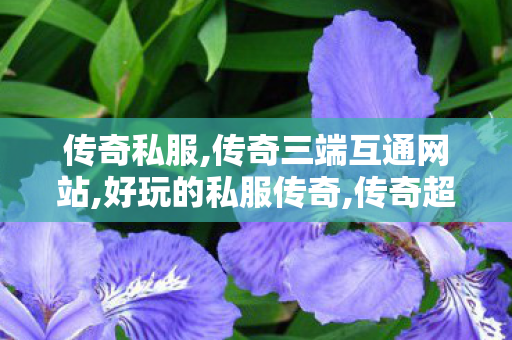 传奇私服,传奇三端互通网站,好玩的私服传奇,传奇超变态私服,好玩的私服传奇