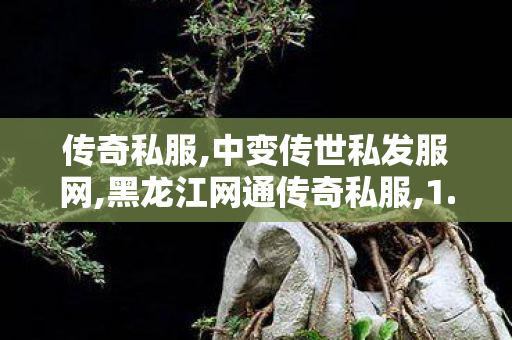 传奇私服,中变传世私发服网,黑龙江网通传奇私服,1.95合击发布网,黑龙江网通传奇私服