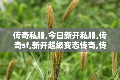 传奇私服,今日新开私服,传奇sf,新开超级变态传奇,传奇sf