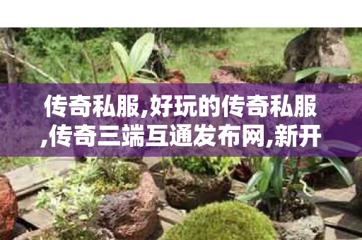 传奇私服,好玩的传奇私服,传奇三端互通发布网,新开传世私服,传奇三端互通发布网