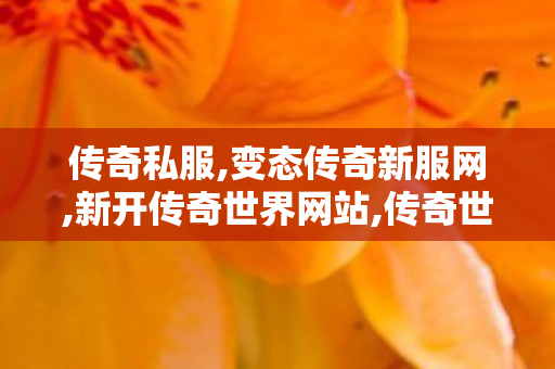 传奇私服,变态传奇新服网,新开传奇世界网站,传奇世界网站,新开传奇世界网站