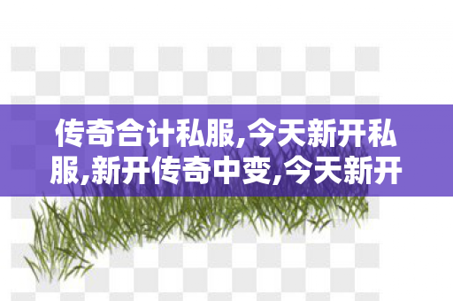 传奇合计私服,今天新开私服,新开传奇中变,今天新开私服