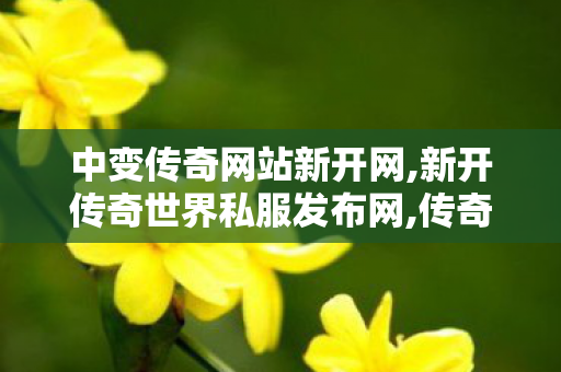 中变传奇网站新开网,新开传奇世界私服发布网,传奇世界私服网站,新开传奇世界私服发布网