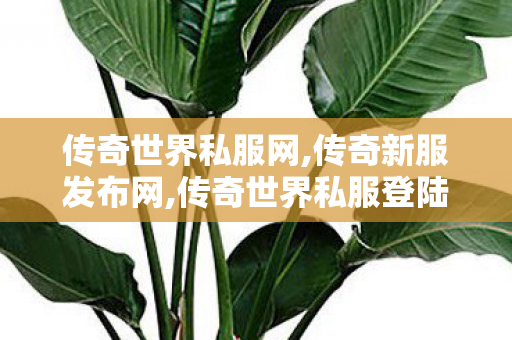 传奇世界私服网,传奇新服发布网,传奇世界私服登陆器,传奇新服发布网