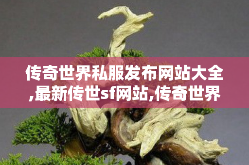 传奇世界私服发布网站大全,最新传世sf网站,传奇世界私服发布网新开服,最新传世sf网站