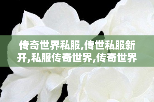 传奇世界私服,传世私服新开,私服传奇世界,传奇世界私服新开传世私服发布网,私服传奇世界