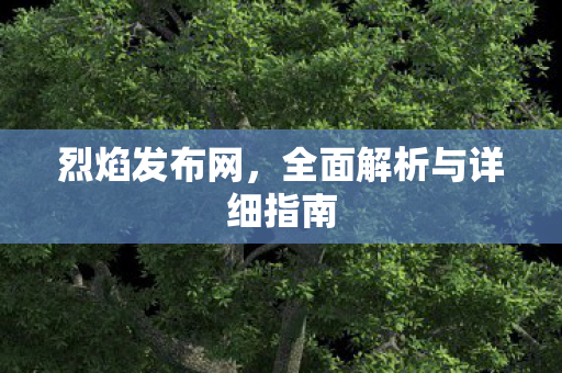 烈焰发布网，全面解析与详细指南