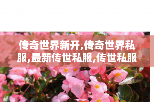 传奇世界新开,传奇世界私服,最新传世私服,传世私服发布站,传奇世界私服,最新传世私服