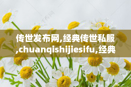 传世发布网,经典传世私服,chuanqishijiesifu,经典传世私服