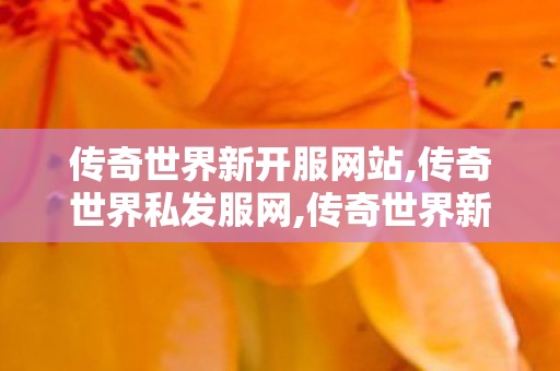 传奇世界新开服网站,传奇世界私发服网,传奇世界新开私服,传奇世界私发服网