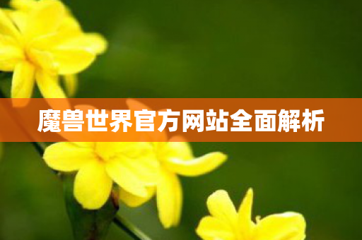 魔兽世界官方网站全面解析