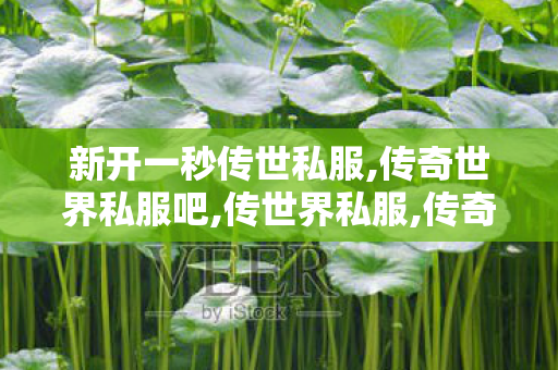 新开一秒传世私服,传奇世界私服吧,传世界私服,传奇世界私服吧