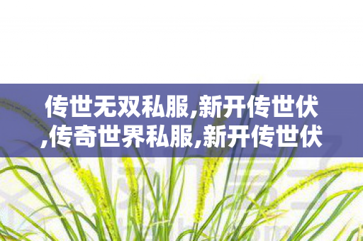 传世无双私服,新开传世伏,传奇世界私服,新开传世伏