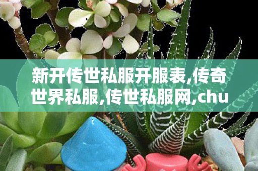 新开传世私服开服表,传奇世界私服,传世私服网,chuanshisifu,传奇世界私服,传世私服网
