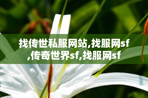 找传世私服网站,找服网sf,传奇世界sf,找服网sf