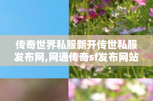 传奇世界私服新开传世私服发布网,网通传奇sf发布网站,最新传奇世界私服网,网通传奇sf发布网站