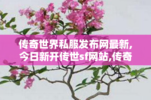 传奇世界私服发布网最新,今日新开传世sf网站,传奇世界新开服的发布网,今日新开传世sf网站