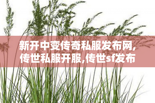 新开中变传奇私服发布网,传世私服开服,传世sf发布网站,传世私服开服