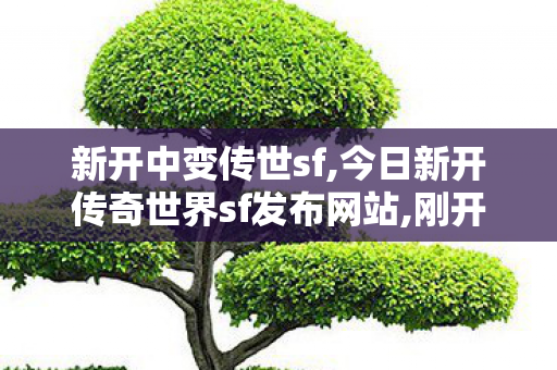 新开中变传世sf,今日新开传奇世界sf发布网站,刚开一秒中变传奇发布网,今日新开传奇世界sf发布网站