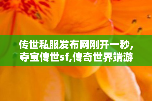 传世私服发布网刚开一秒,夺宝传世sf,传奇世界端游私服,夺宝传世sf