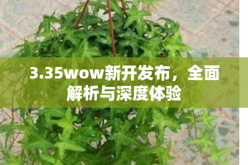 3.35wow新开发布，全面解析与深度体验