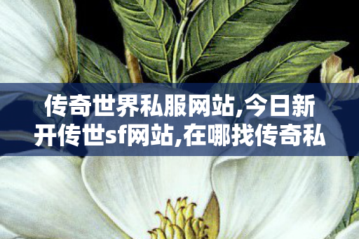 传奇世界私服网站,今日新开传世sf网站,在哪找传奇私服,今日新开传世sf网站