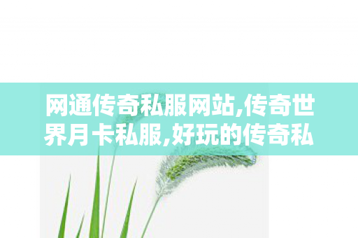 网通传奇私服网站,传奇世界月卡私服,好玩的传奇私服推荐,传奇世界月卡私服