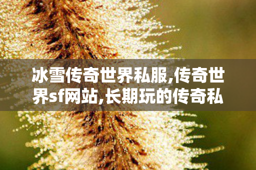 冰雪传奇世界私服,传奇世界sf网站,长期玩的传奇私服,传奇世界sf网站