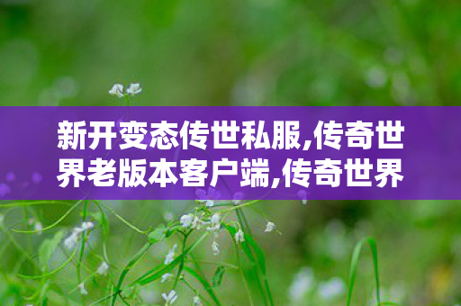 新开变态传世私服,传奇世界老版本客户端,传奇世界0复古私服,传奇世界老版本客户端
