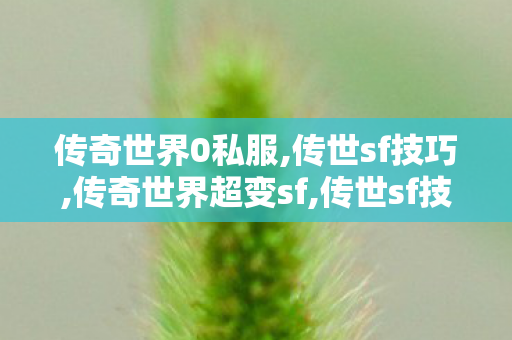 传奇世界0私服,传世sf技巧,传奇世界超变sf,传世sf技巧