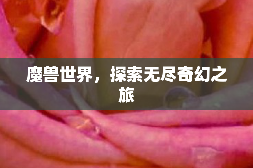 魔兽世界，探索无尽奇幻之旅