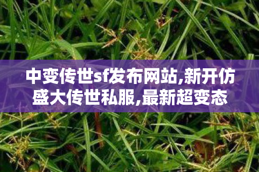 中变传世sf发布网站,新开仿盛大传世私服,最新超变态传世私服,新开仿盛大传世私服