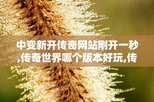 中变新开传奇网站刚开一秒,传奇世界哪个版本好玩,传世传奇私服,传奇世界哪个版本好玩