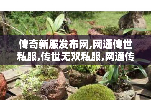 传奇新服发布网,网通传世私服,传世无双私服,网通传世私服