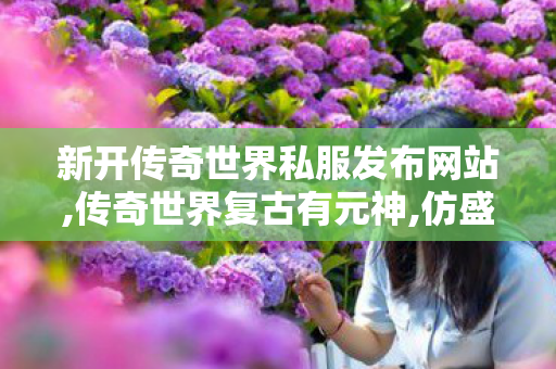 新开传奇世界私服发布网站,传奇世界复古有元神,仿盛大传世私服发布网,传奇世界复古有元神