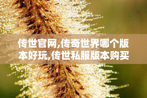 传世官网,传奇世界哪个版本好玩,传世私服版本购买,传奇世界哪个版本好玩