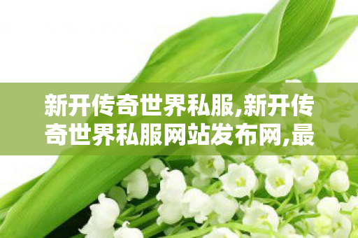 新开传奇世界私服,新开传奇世界私服网站发布网,最新传世私服,新开传奇世界私服网站发布网