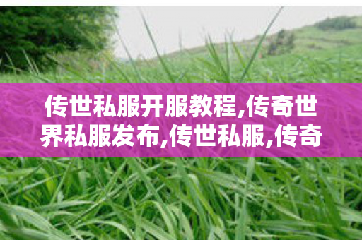 传世私服开服教程,传奇世界私服发布,传世私服,传奇世界私服发布
