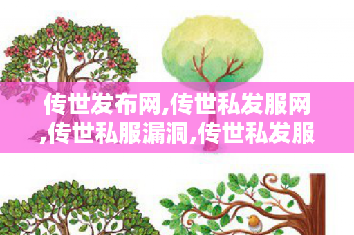 传世发布网,传世私发服网,传世私服漏洞,传世私发服网