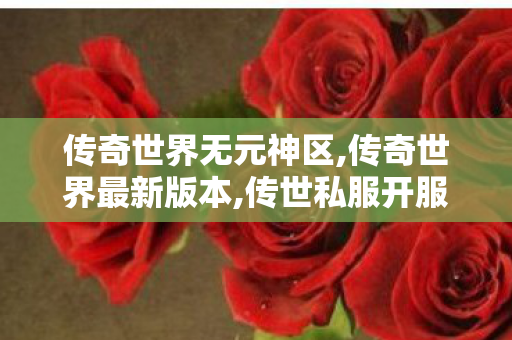 传奇世界无元神区,传奇世界最新版本,传世私服开服,传奇世界最新版本